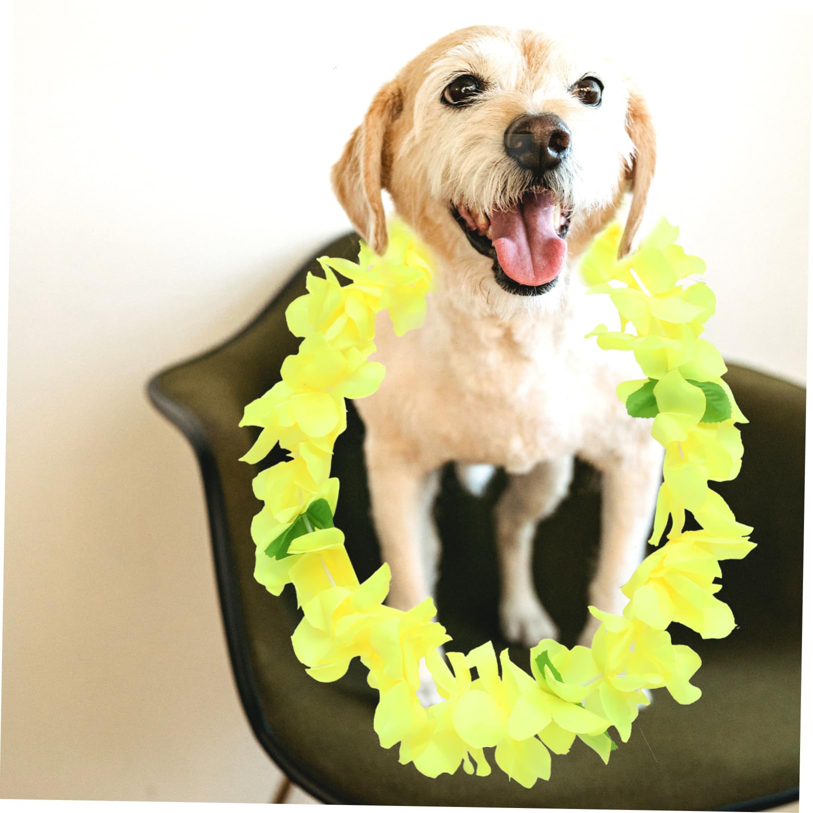 Amazon | VORCOOL 3個 フラワーレイ ハワイアン 飾り レイ 50本